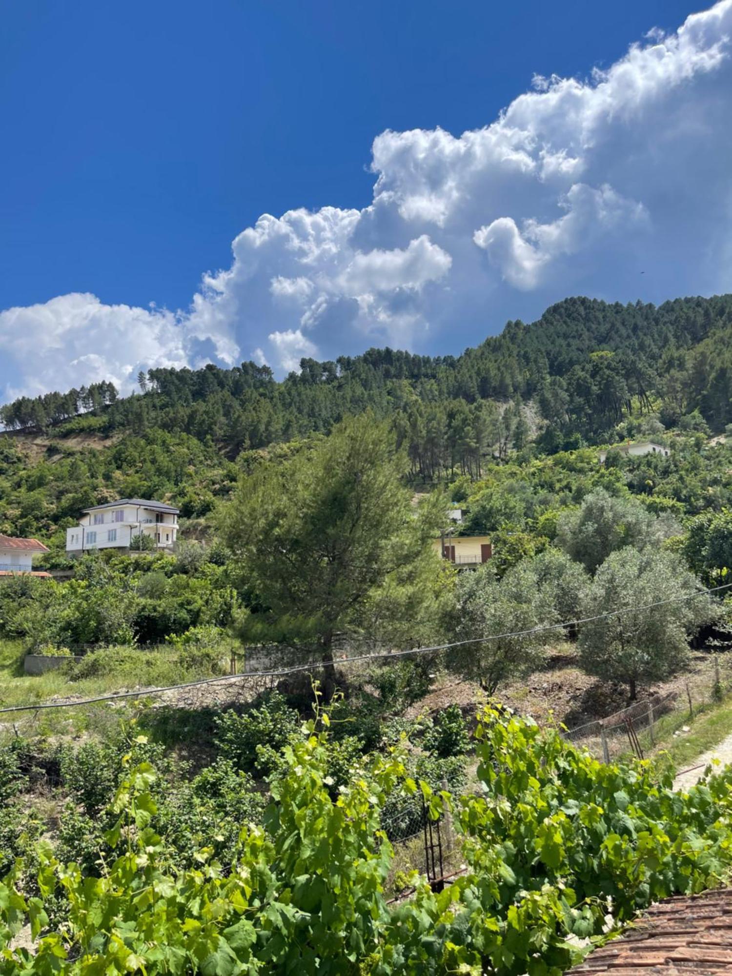 Eljos House Pensjonat